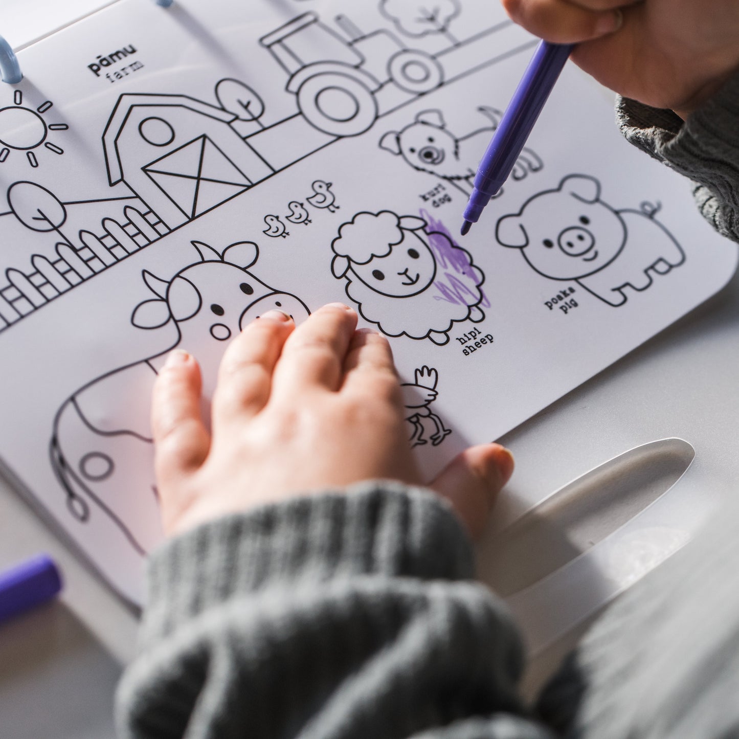 A child coloring a black-and-white farm animal activity sheet with a purple marker, shown from an overhead angle at a table.