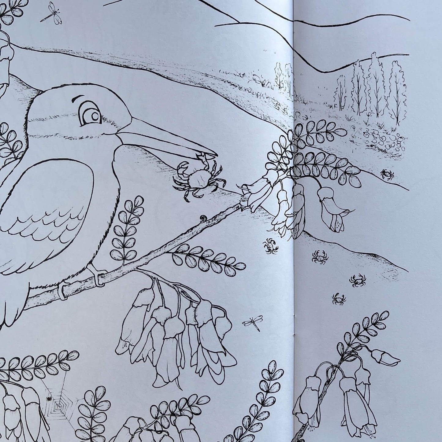 Page from Childrens book Kererus BBQ colouring edition.