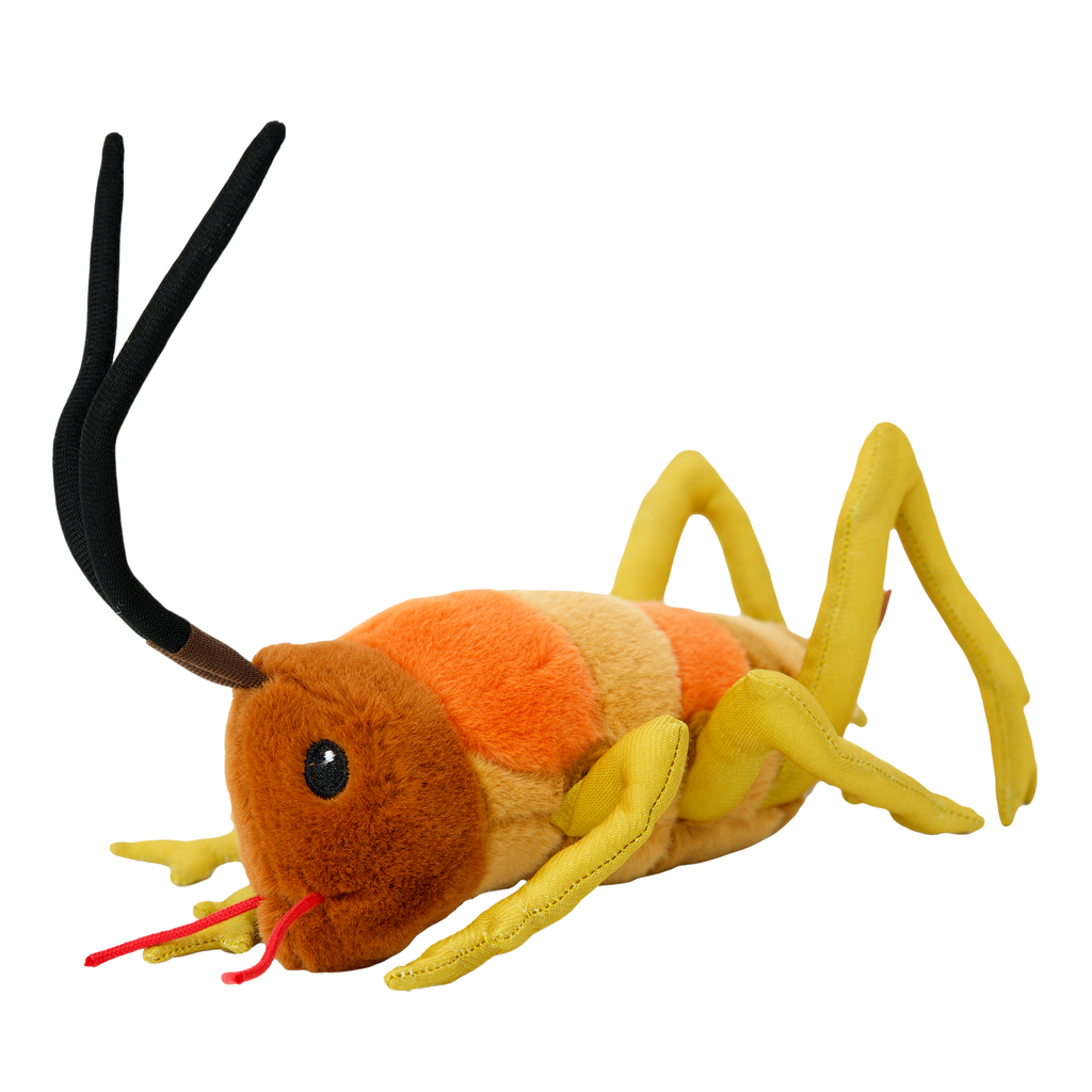 Wiremu the Weta - Soft Toy