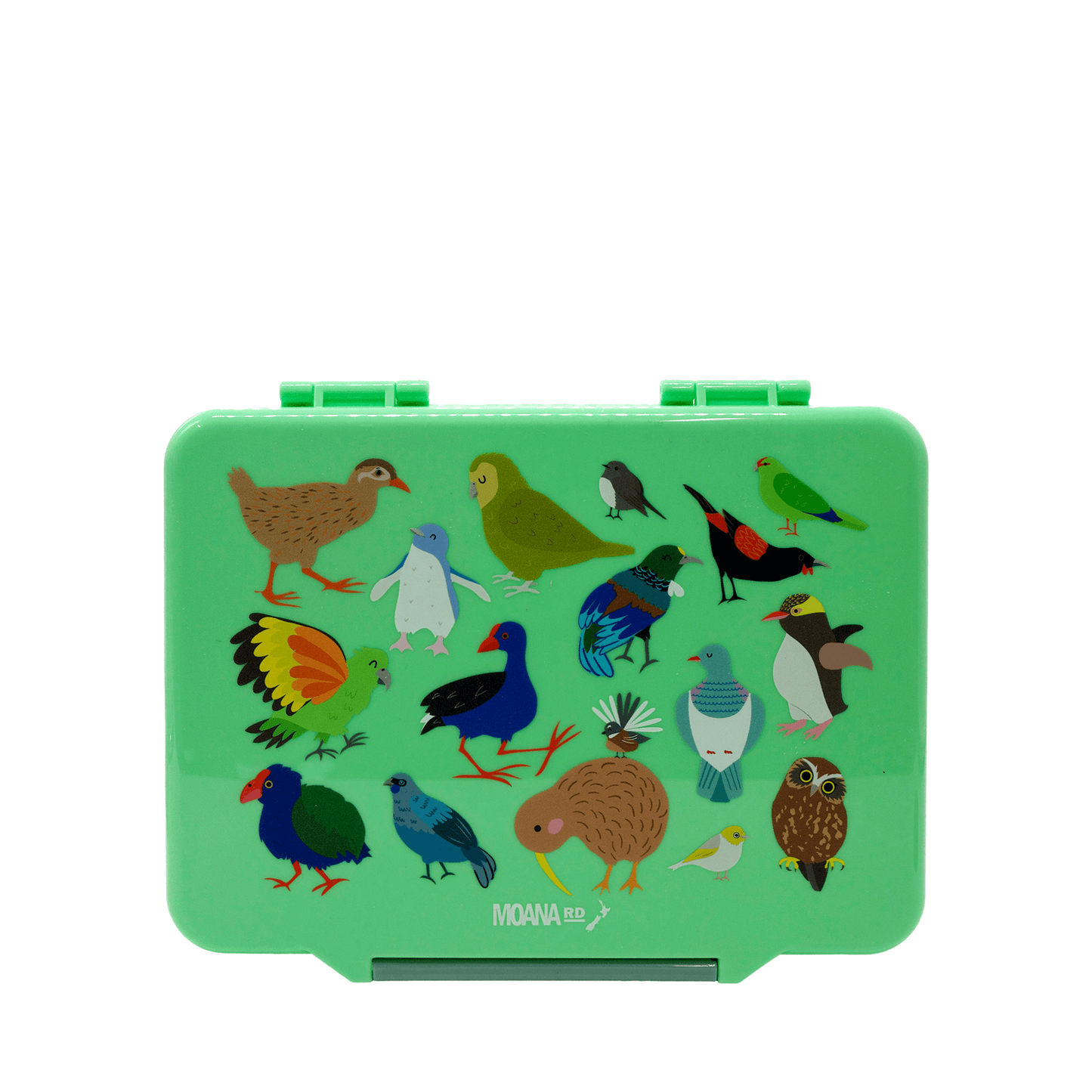 Minty green kids lunch box with cute colourful native New Zealand birds printed on the lid.