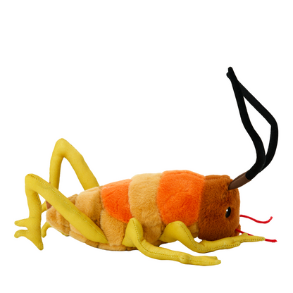 Wiremu the Weta - Soft Toy