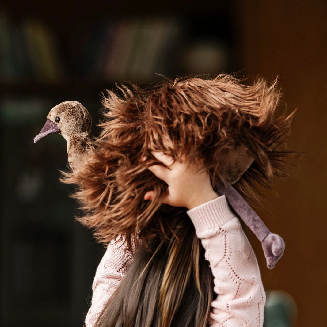 Mikaere the Moa - Soft Toy