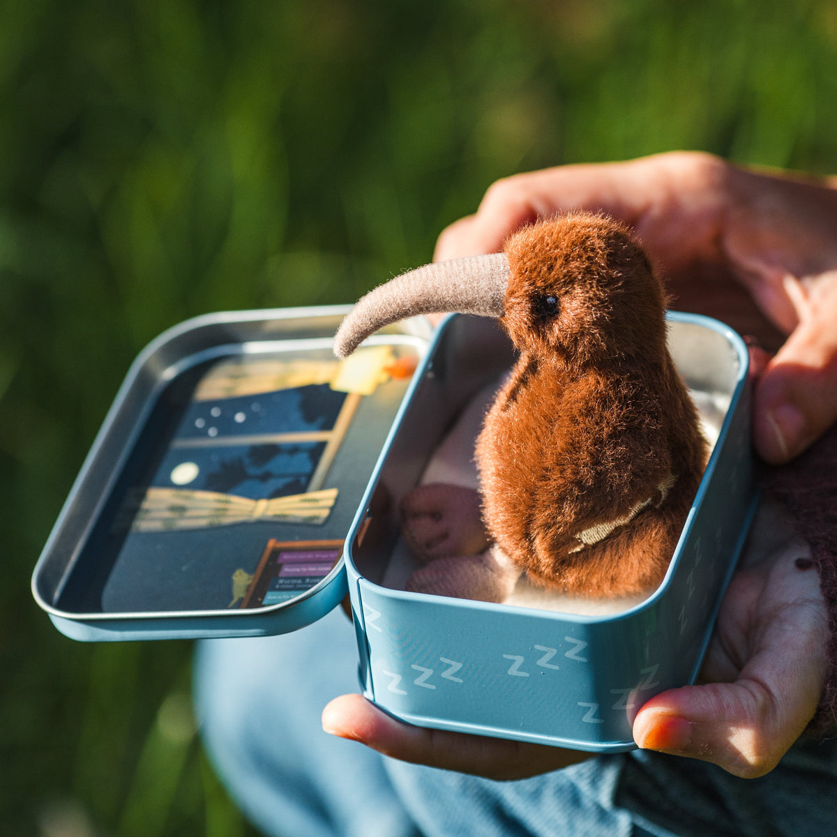 A small brown kiwi bird plush toy with a long curved beak sits inside an open light blue tin. A person's hands are holding the tin outdoors on a grassy background.