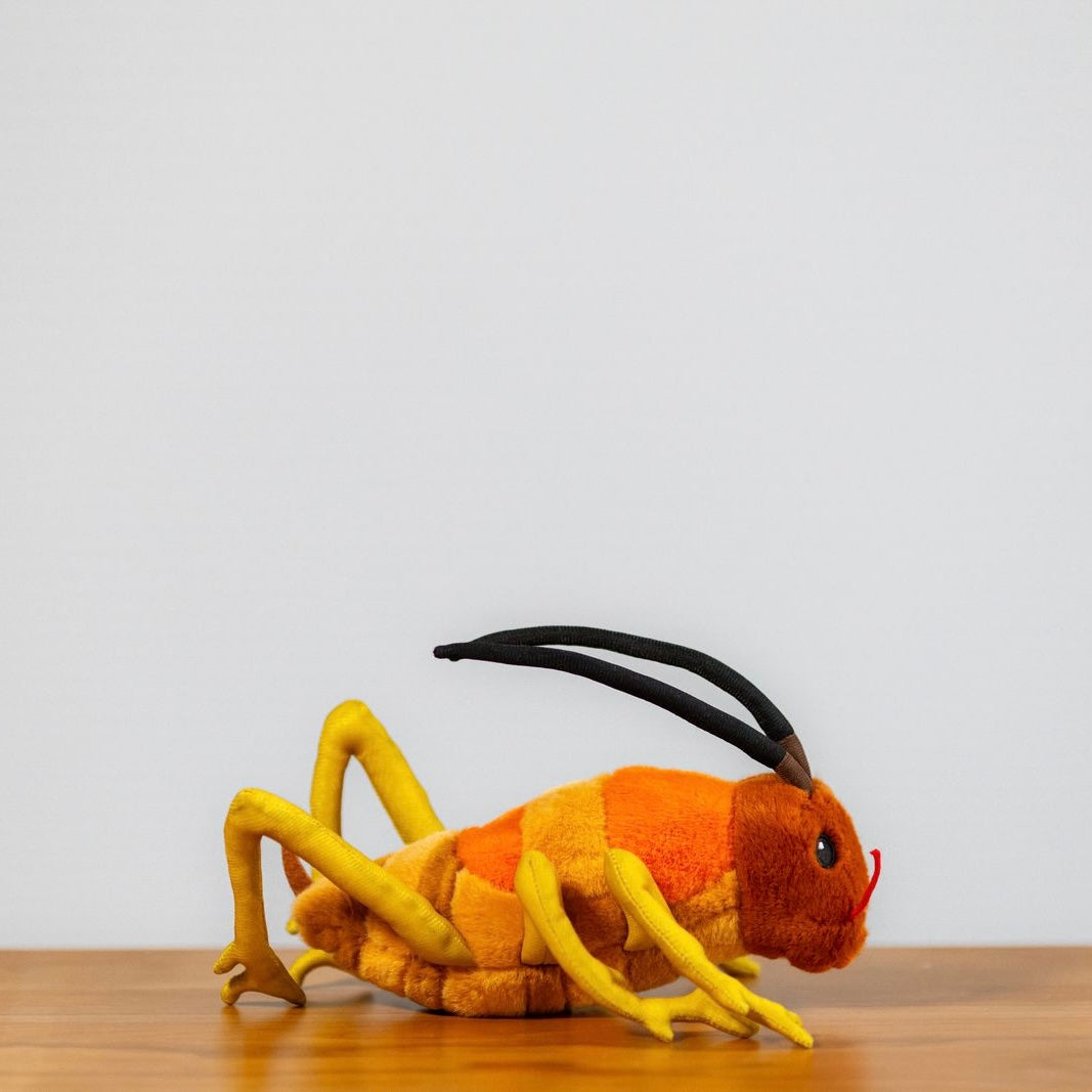 Wiremu the Weta - Soft Toy
