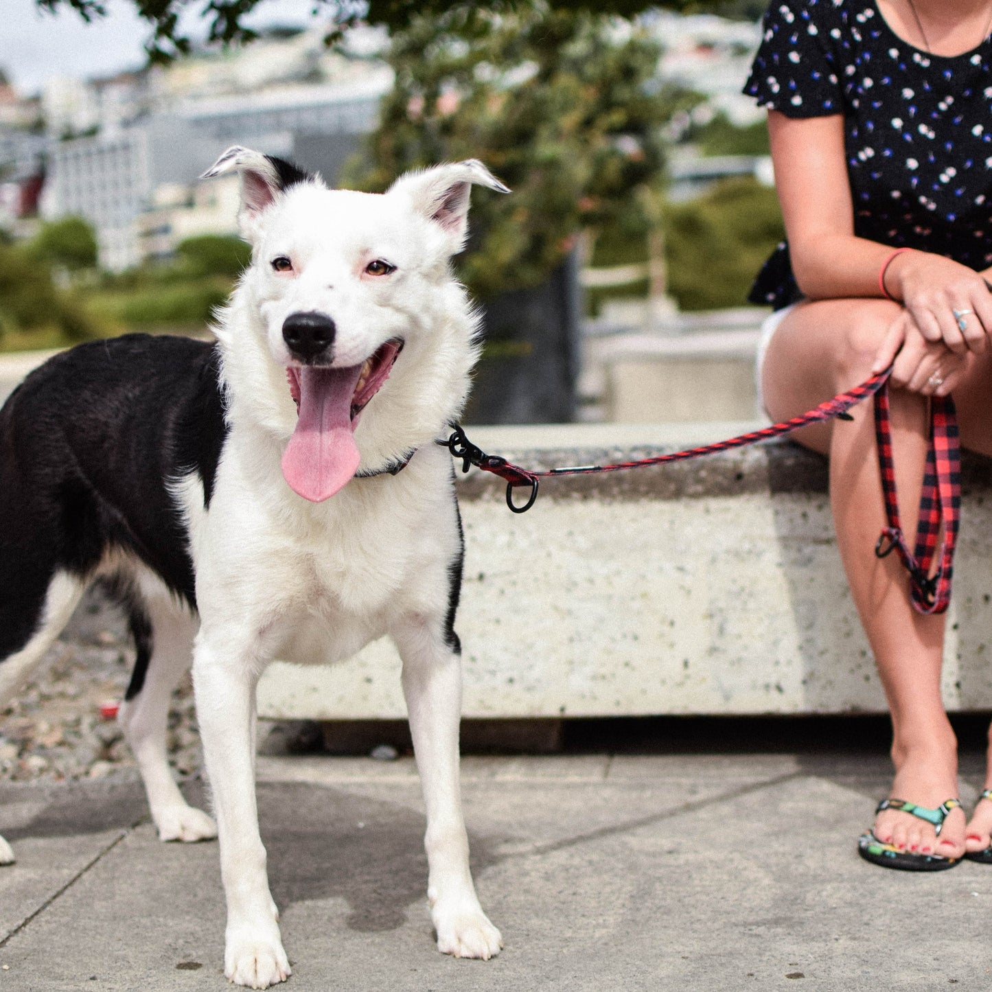 Women and dog sitting on a bench outside. Woman is holding a red and black checkered leash.