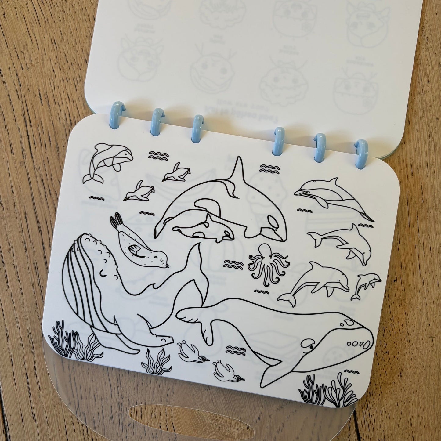 An open spiral-bound notebook on a wooden surface, showing black-and-white ocean animal line drawings including dolphins, whales, seals, and sea plants. The notebook is bound with light blue rings.