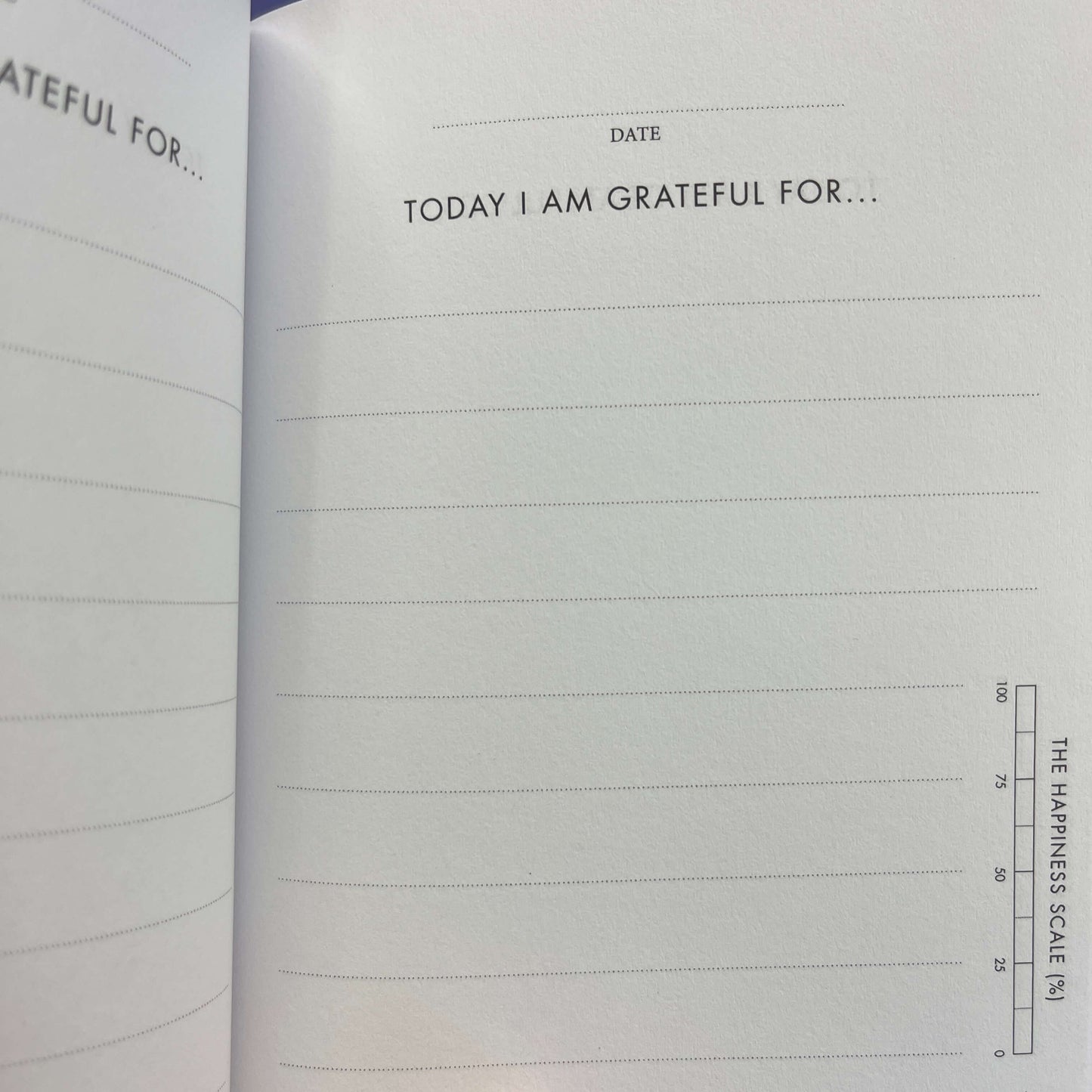 Dream Big gratitude journal for teens.