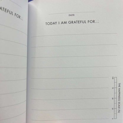Dream Big gratitude journal for teens.