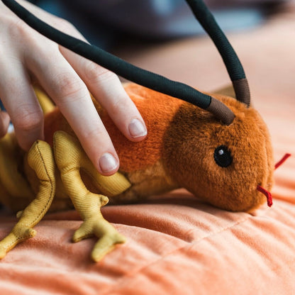 Wiremu the Weta - Soft Toy