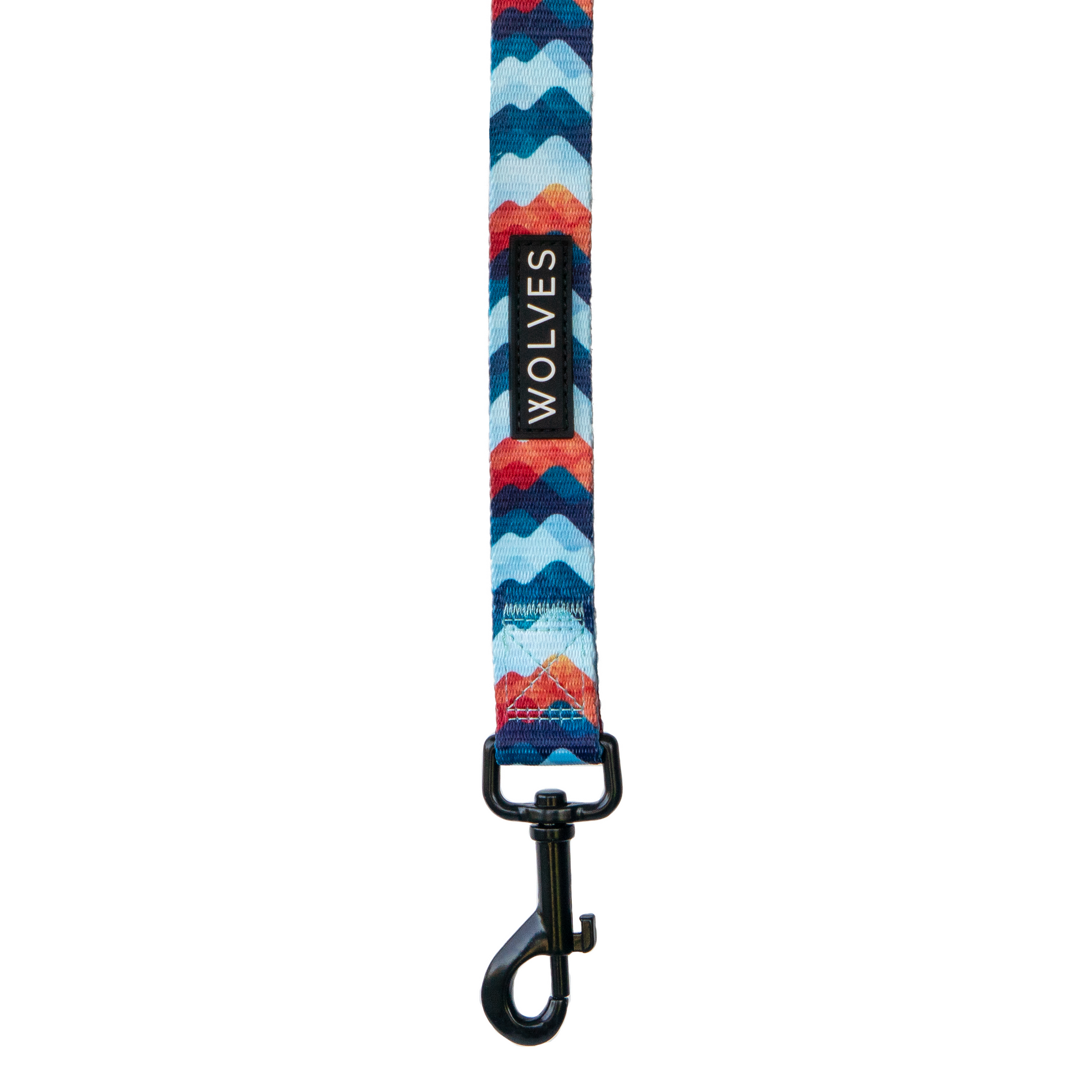 Orange and blue wave patterned dog leash.