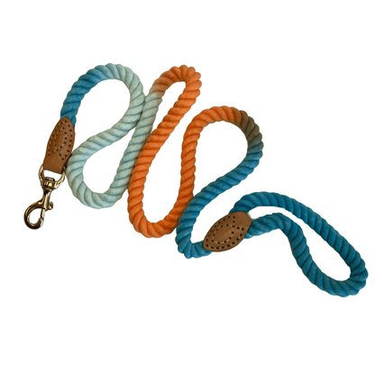 Cotton rope dog leash.