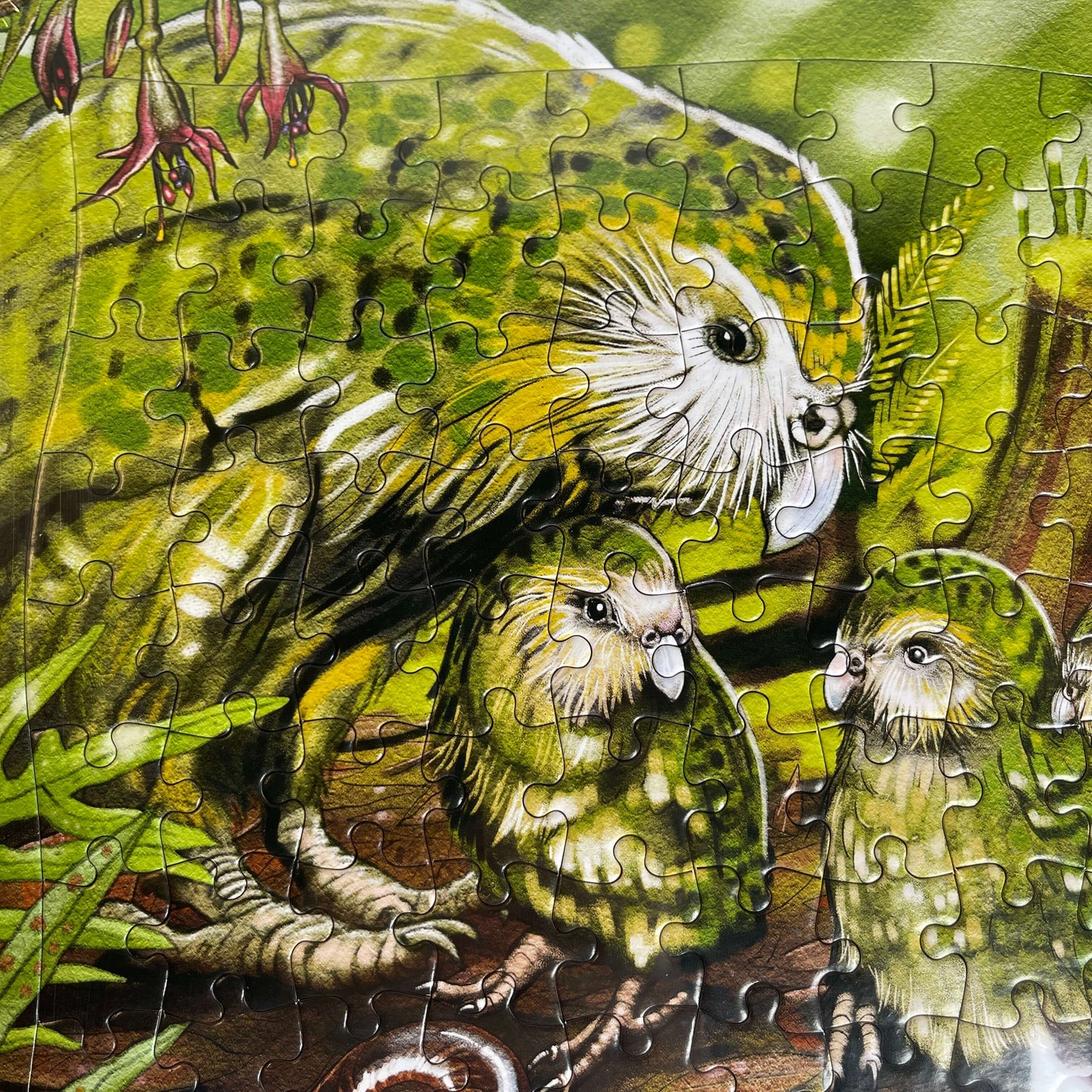 Kakapo bird jigsaw puzzle.