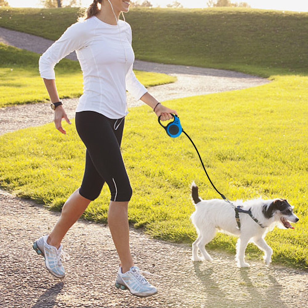 Dog on a lead going for a run with it's owner.